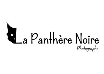 logo-laura-dauphint-photographe-salon-de-provence